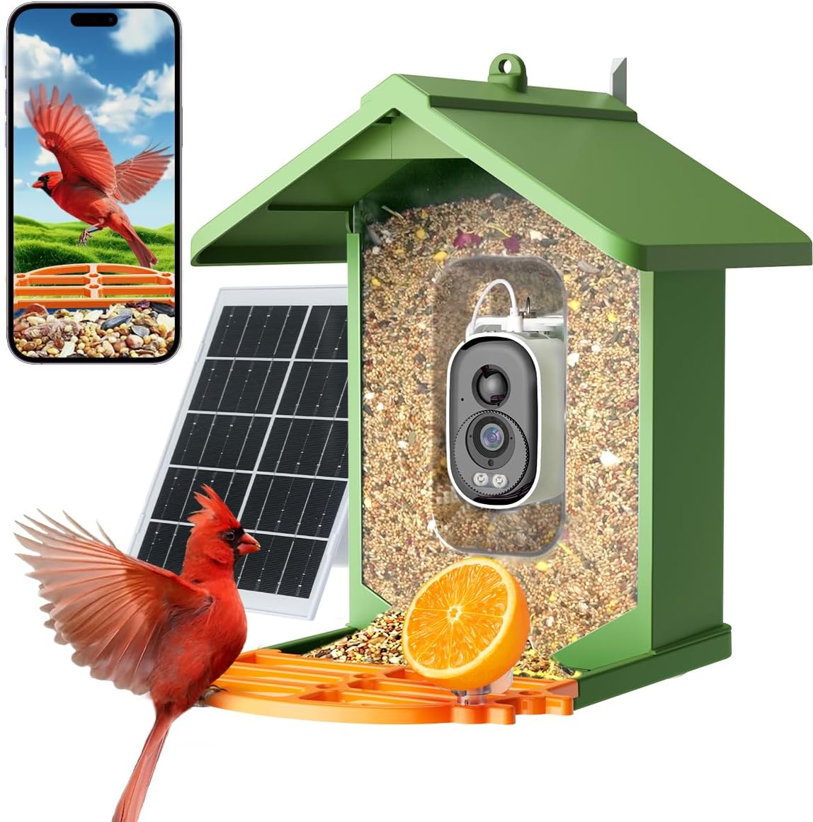 Bird Feeder with Camera 2.5K HD Live Video, AI Bird Identifier, 5MP Photos, 7W Solar Powered & 4000mAh Battery for Wall/Mount/Hang (Green)