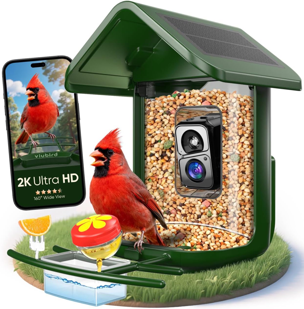 Bird Feeder with Camera Solar Powered – Smart Bird Feeder Camera 2K HD Live Stream, 5MP Photos, AI Identification for Backyard, 2.4Lb Large Capacity, Gifts for Mom Dad, Green