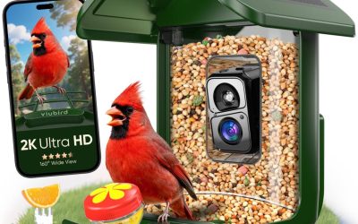 Bird Feeder with Camera Solar Powered – Smart Bird Feeder Camera 2K HD Live Stream, 5MP Photos, AI Identification for Backyard, 2.4Lb Large Capacity, Gifts for Mom Dad, Green