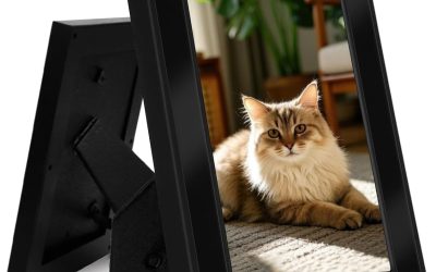 Hidden Camera Frame – Nanny Cam for Indoor Security – Spy Camera with Photo Frame – No WiFi – SD Card Not Included