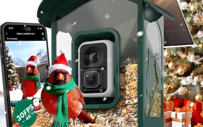 Humbirdy-Bird Feeder with Camera, 8MP Ultra HD Video & Photo, 10x Slow-Motion, 4K 30fps Live View, AI Identify, No Subscription, 2.4G/5G Wi-Fi, Solar Powered, Wildbird Watching Gifts-Metal