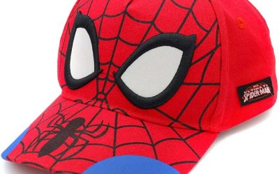 Marvel Accessory Supply Spider-Man 3D Boy Hat