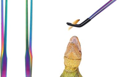 OLIISS Stainless Steel Reptile Feeding Tongs with Rubber Tip – 10.6″ Straight & Curved Tweezers for Aquariums & Crafts – Feeder Tools for Bearded Dragons & Lizards – Terrarium Tank Supplies – 2 Pack