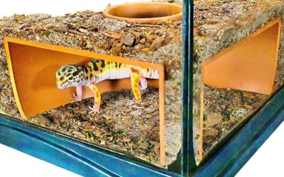Reptile Corner Underground Cave Viewing Hide | Hognose Snake, Corn Snake & Leopard Gecko Hideout Reptile Habitat Tank Enrichment | Decor Decoration Accessories Supplies Toys Ornaments